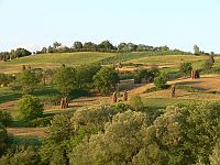 letní podvečer, 30.06.2007 - 07.07.2007