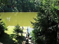 Bohumila Andrlová: pohled na rybník, 21.06.2008 - 28.06.2008