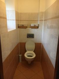 Stylová chalupa v Podblanicku - WC