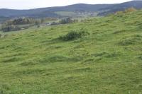 Chalupa s bazénem pro rodiny s dětmi, Chalupy, Šumava