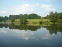 5 km rybník Nový s možností zakoupení povolenek k rybaření