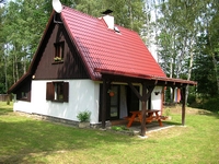 Klení