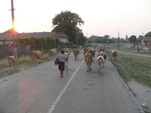 Rumunská vesnice